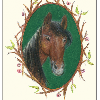 קלף טיפולי – סוס