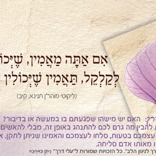 עלי דרך