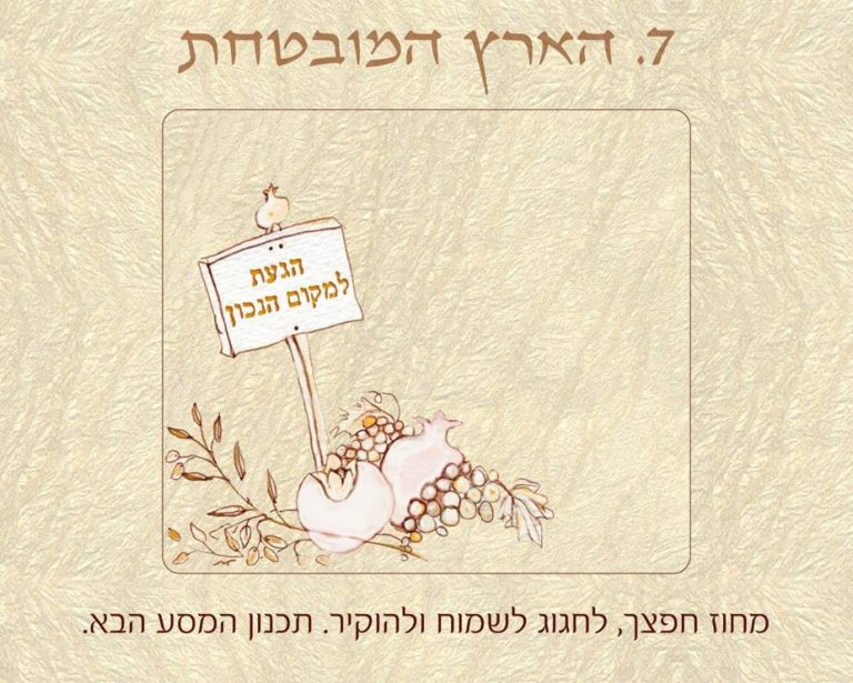 משחק אימון