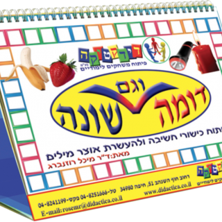 משחק להוראה מותאמת – דומה וגם שונה