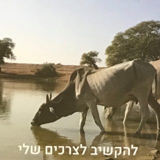 תמונה למחשבה קלפים לטיפול אימון והשראה