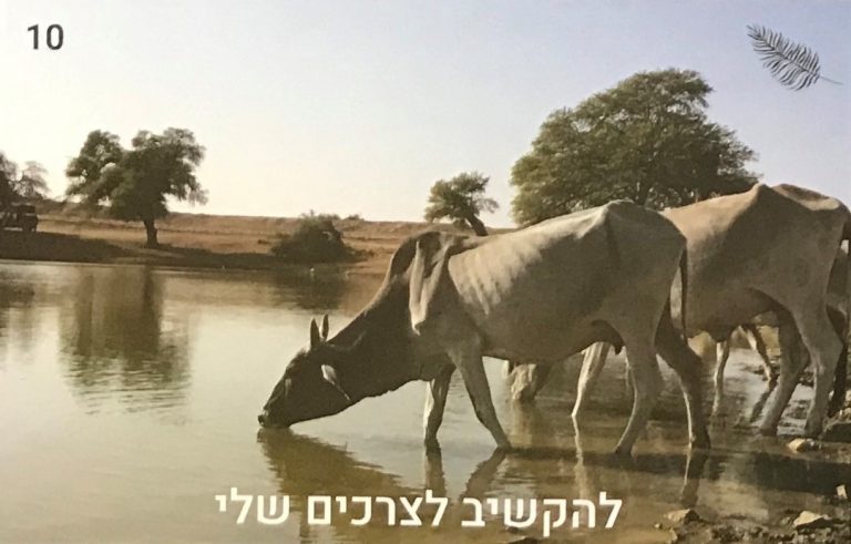 תמונה למחשבה קלפים לטיפול אימון והשראה