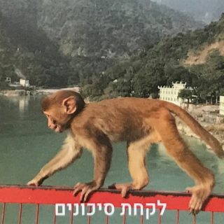 תמונה למחשבה קלפים למטפלים ומאמנים