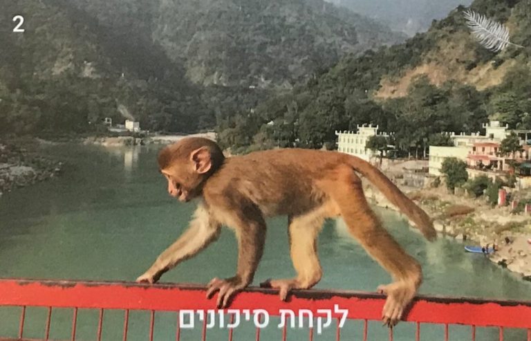 תמונה למחשבה קלפים למטפלים ומאמנים