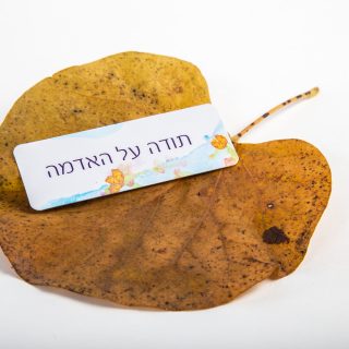 הודיות קלפים טיפוליים להכרת תודה