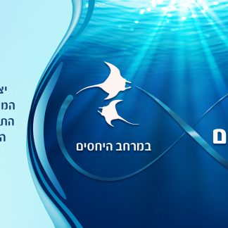 לשחק במעמקים במרחב היחסים סדנה למטפלים