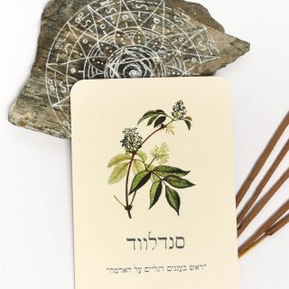 ערכת קלפי ארומתרפיה לטיפול והשראה ROSECARDS