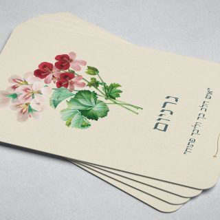 ערכת קלפי ארומתרפיה לטיפול והשראה ROSECARDS