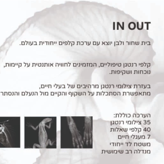 In Out קלפי רנטגן