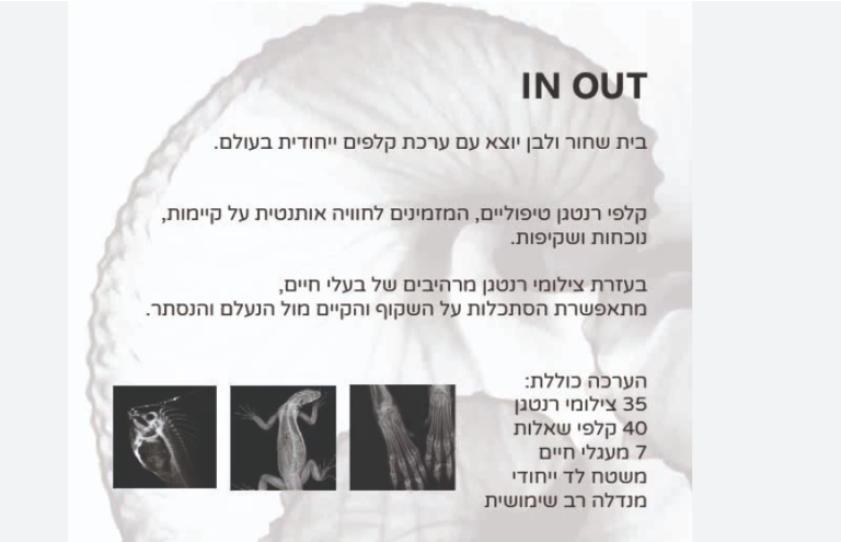 In Out קלפי רנטגן
